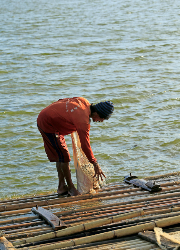 sustainable fisheries image